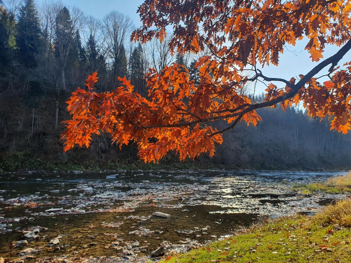Domki U Gretka Lutowiska Esterno foto