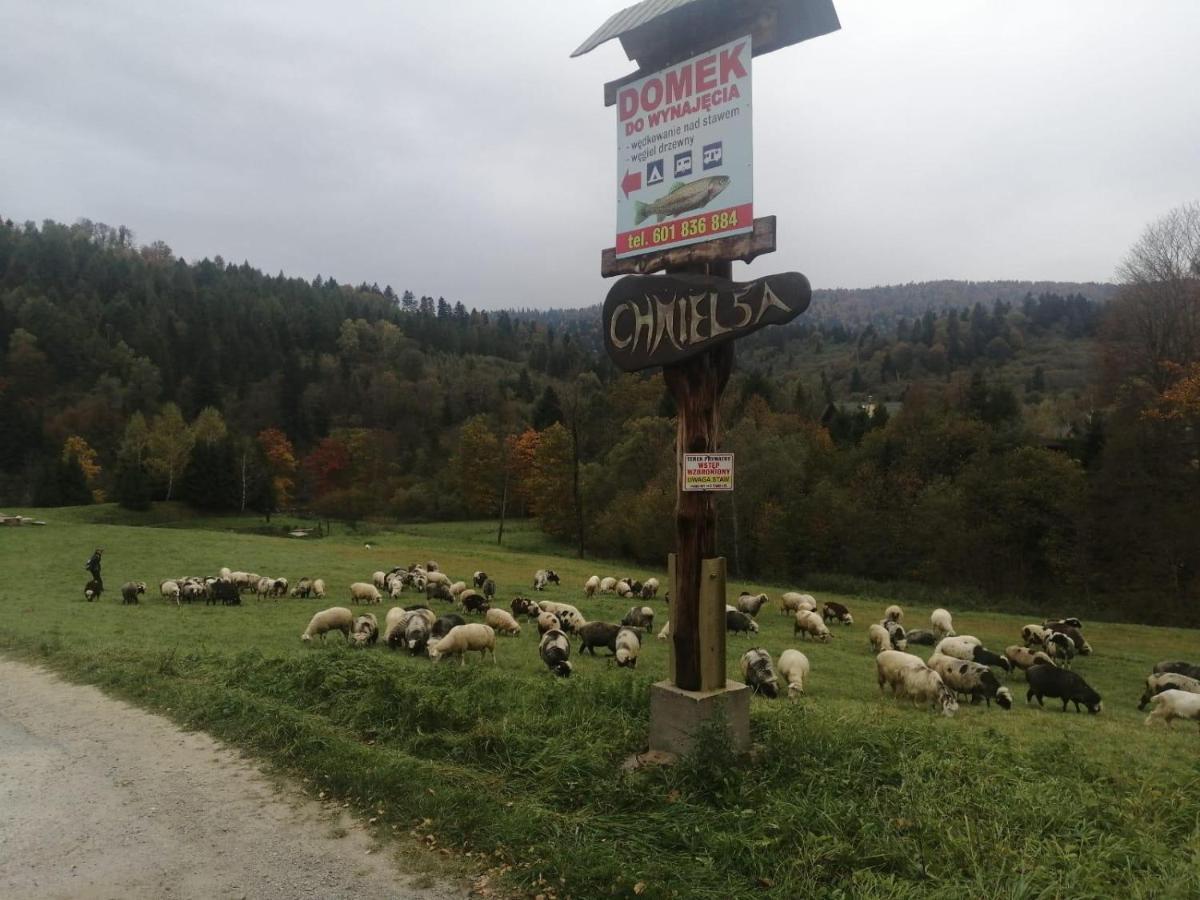 Domki U Gretka Lutowiska Esterno foto