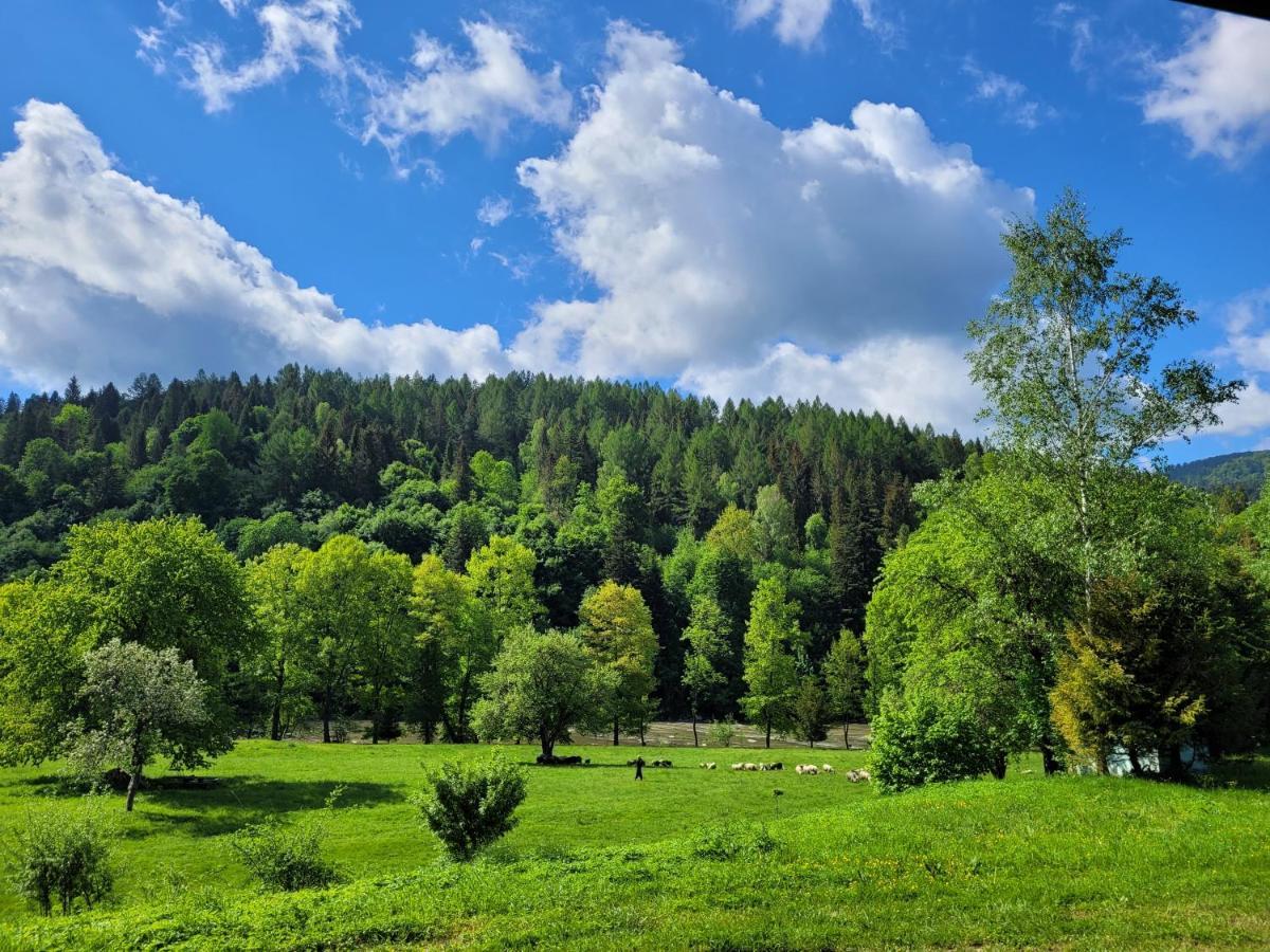 Domki U Gretka Lutowiska Esterno foto